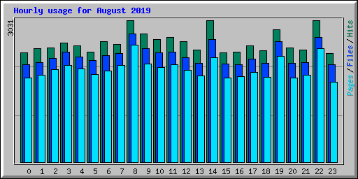 Hourly usage for August 2019